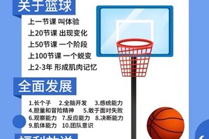  如何利用篮球代言打造专业的训练和发展体系